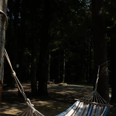 Vitapark Stariy Dub Truskavets